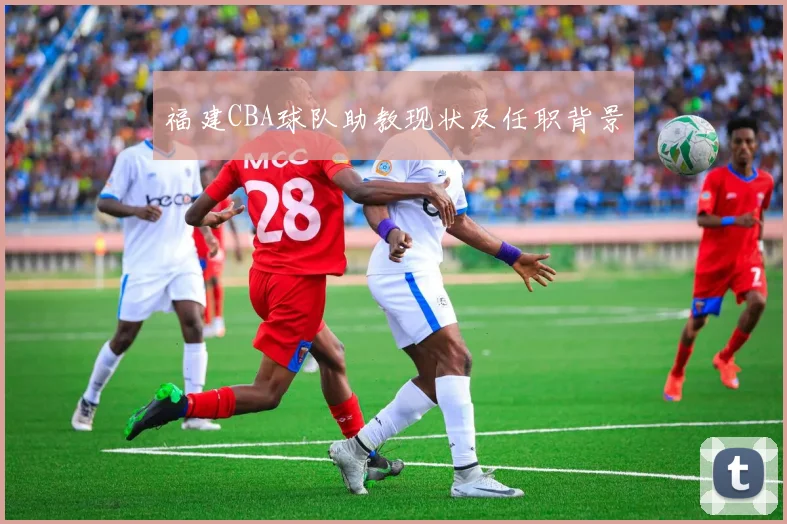 福建CBA球队助教现状及任职背景